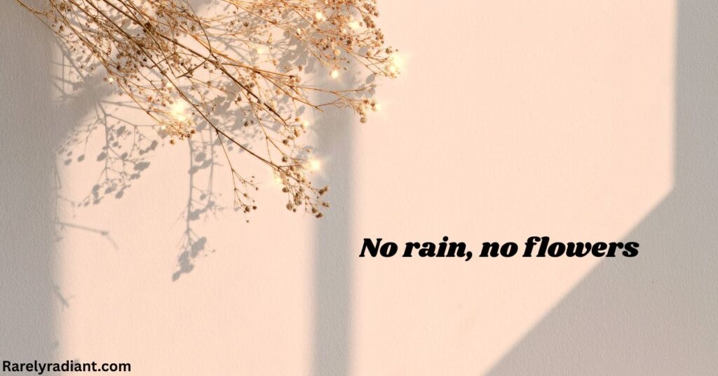  Inspirational Flower Captions