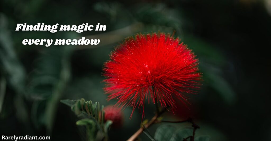 Nature & Adventure Flower Captions