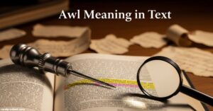 Awl Meaning in Text