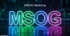 MSOG Meaning