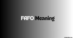 FAFO Meaning