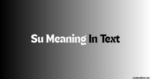 SU Meaning in Text
